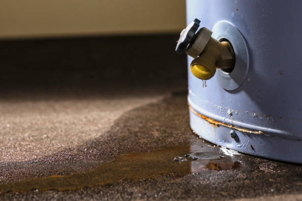 Best Flood damage cleanup  in Argos, IN