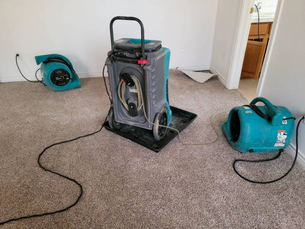 Best Residential water damage restoration  in Argos, IN