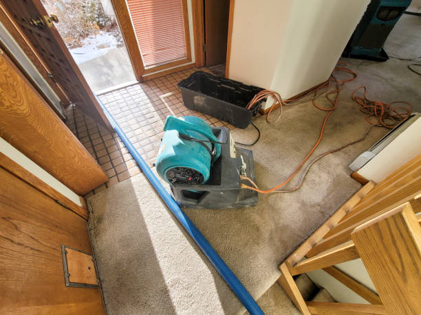 Best Carpet water damage restoration  in Argos, IN