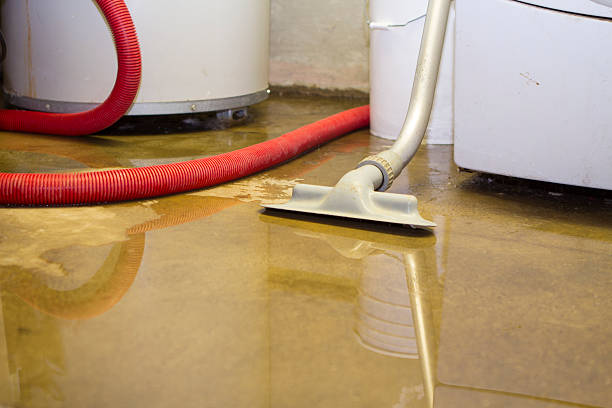Best Mold removal after water damage  in Argos, IN