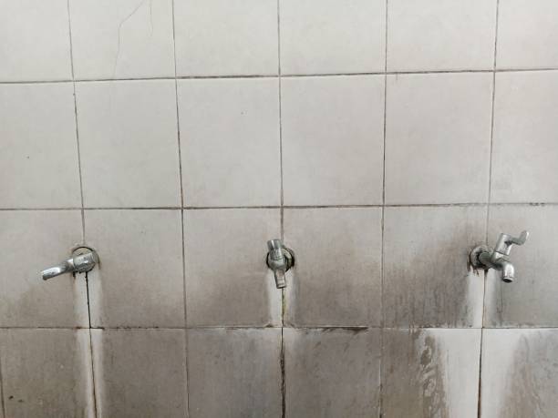 Best Water damage restoration experts  in Argos, IN