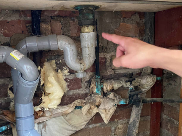 Best Local water damage restoration  in Argos, IN