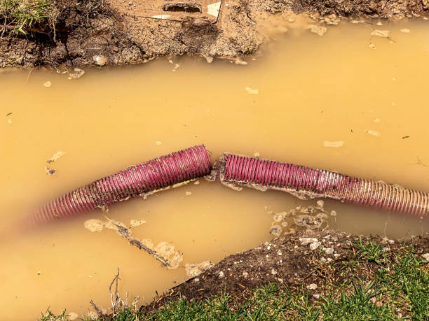 Best 24-hour water damage restoration  in Argos, IN