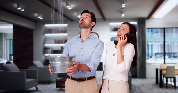 Best Flood restoration services  in Argos, IN