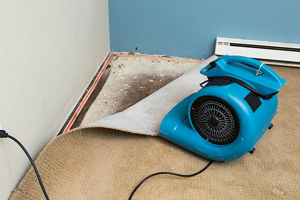 Best Residential water damage restoration  in Argos, IN